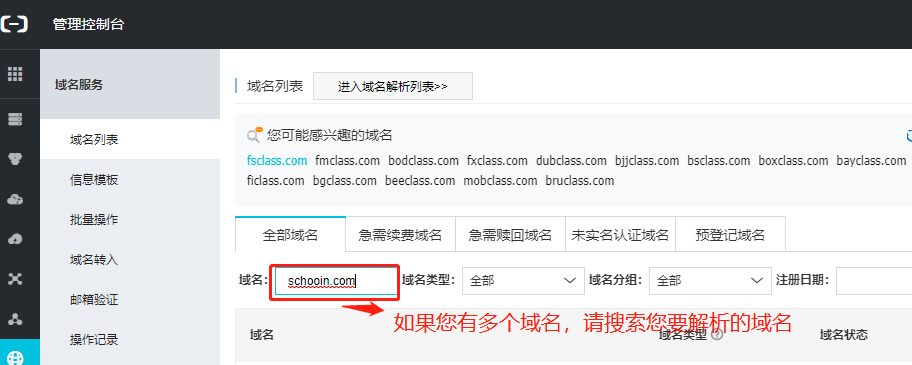 进入域名列表